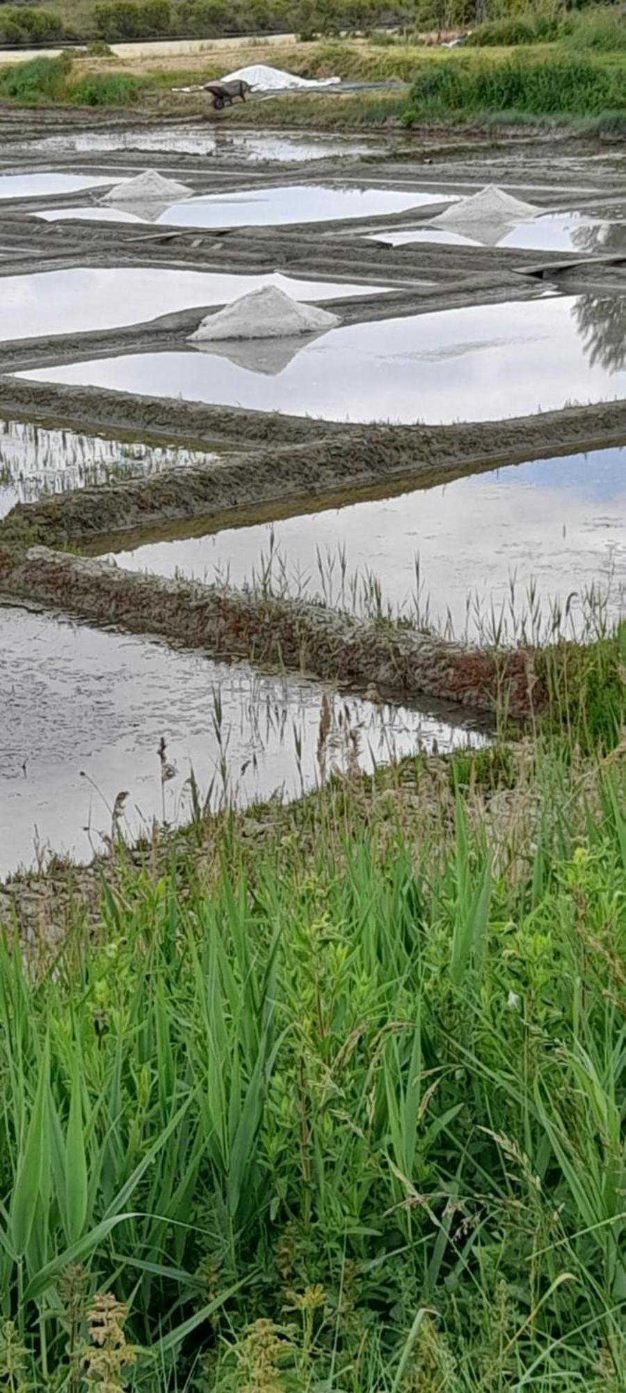 Appartement Les Pieds Dans L'Eau Batz-sur-Mer Zewnętrze zdjęcie